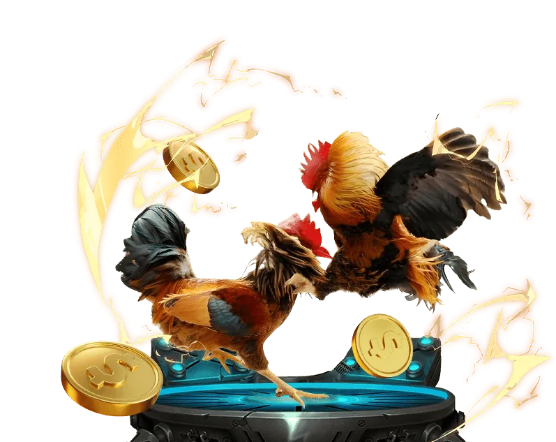 Đội ngũ mv66 chuyên nghiệp